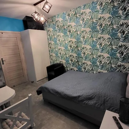 Deizy Apartment Wagrowiec